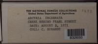 Image Associated With the Occurence
